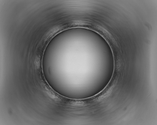 X0000111830833200907231315