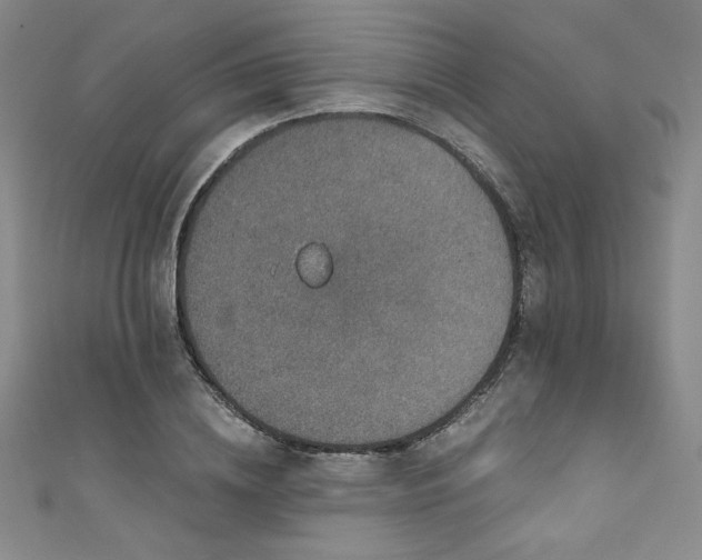 X0000111830836200907231315