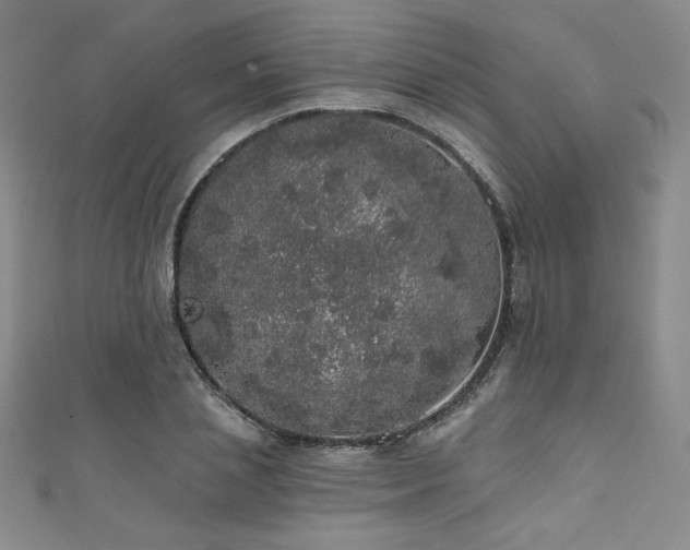 X0000111830837200907231315