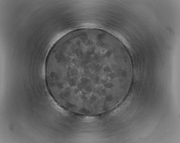 X0000111830839200907231315