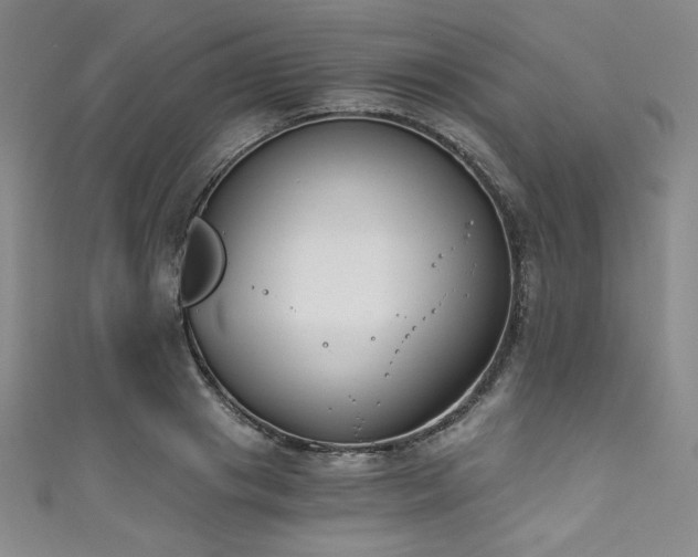 X0000111830841200907231315