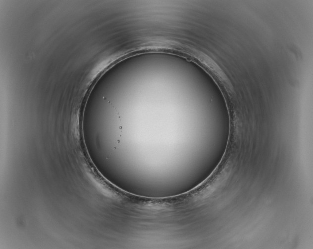 X0000111830842200907231315