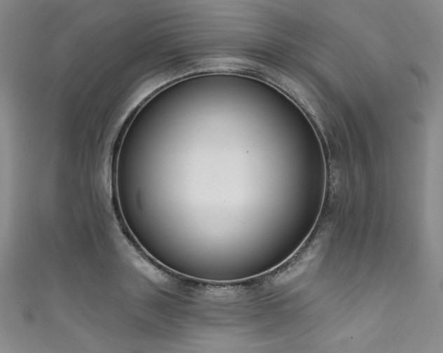 X0000111830843200907231315