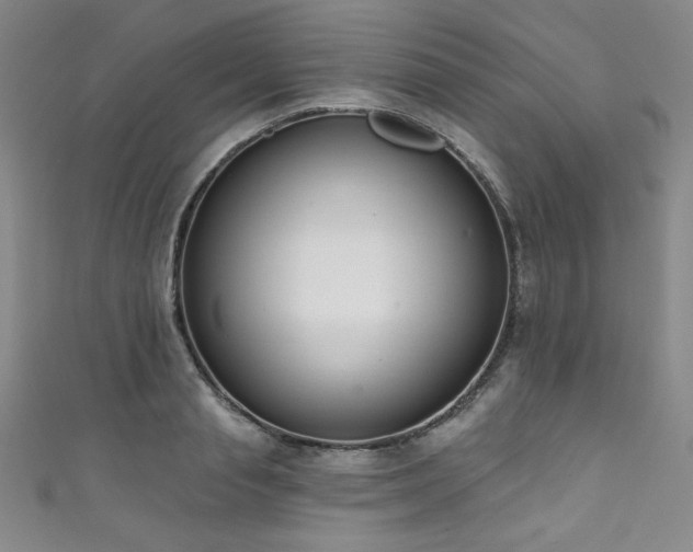 X0000111830845200907231315