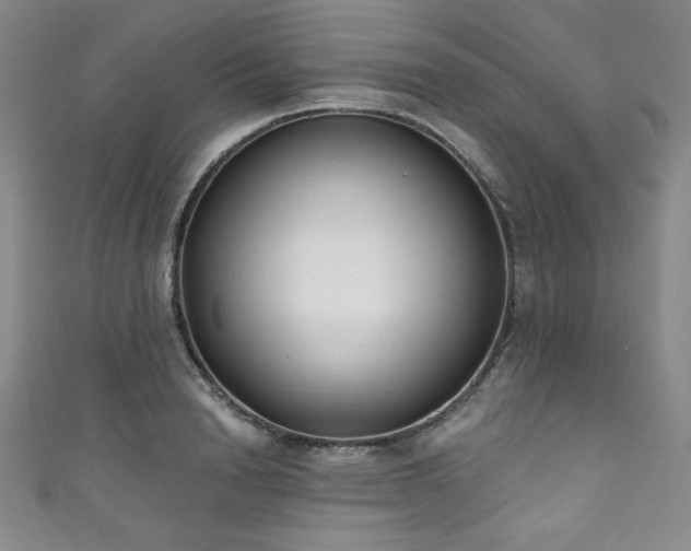 X0000111830846200907231315