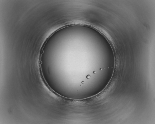 X0000111830847200907231315