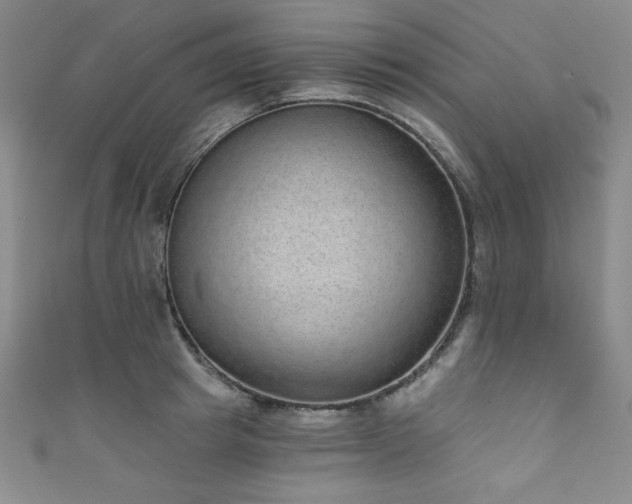 X0000111830849200907231315