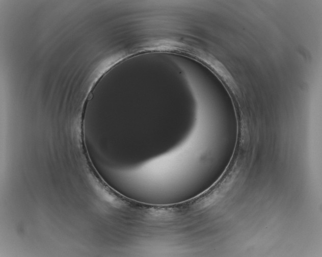 X0000111830850200907231315