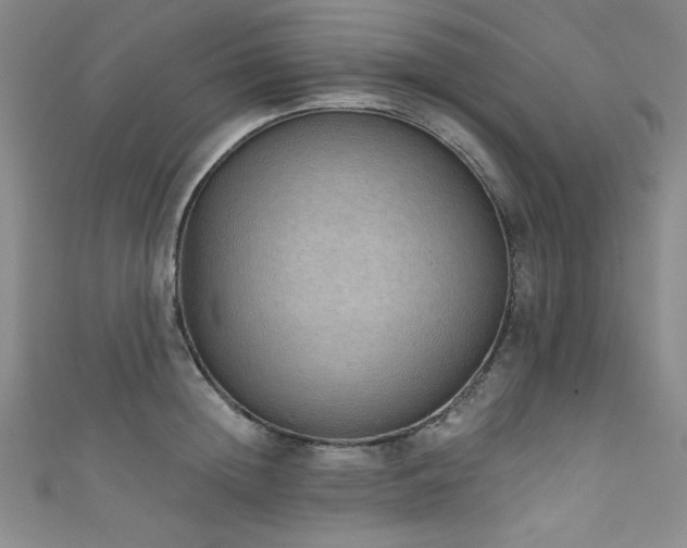 X0000111830852200907231315