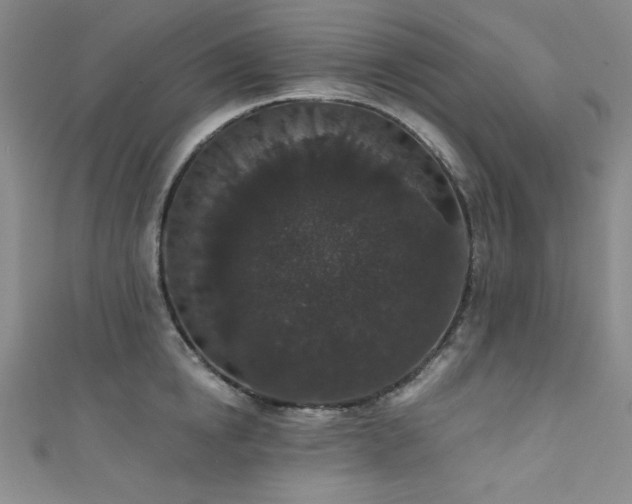 X0000111830854200907231315