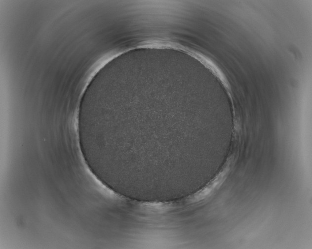 X0000111830855200907231315