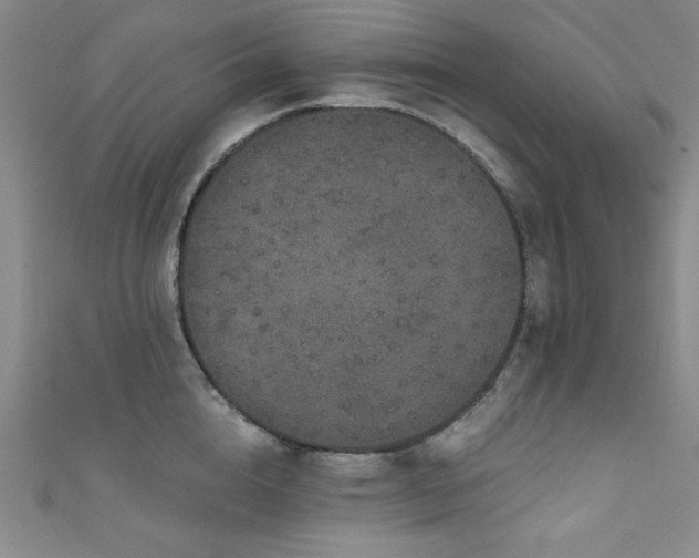 X0000111830856200907231315
