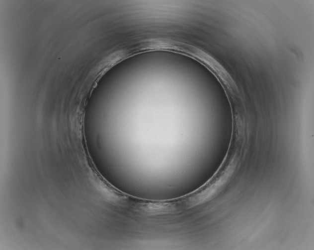 X0000111830857200907231315