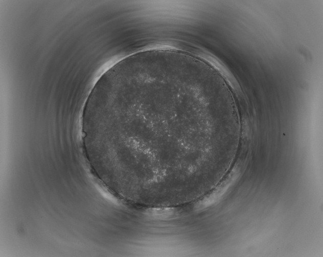 X0000111830858200907231315