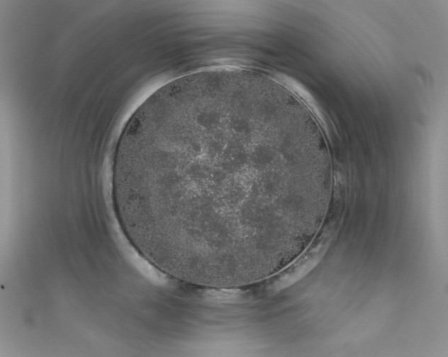 X0000111830859200907231315