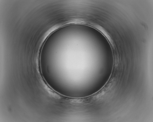 X0000111830861200907231315