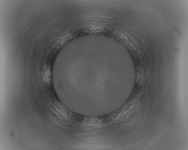 X0000111830866200907231315