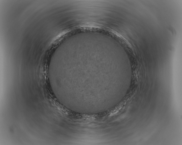 X0000111830870200907231315
