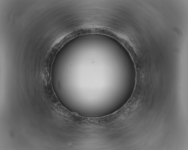 X0000111830871200907231315