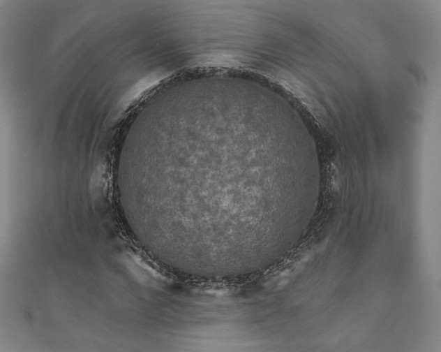 X0000111830872200907231315