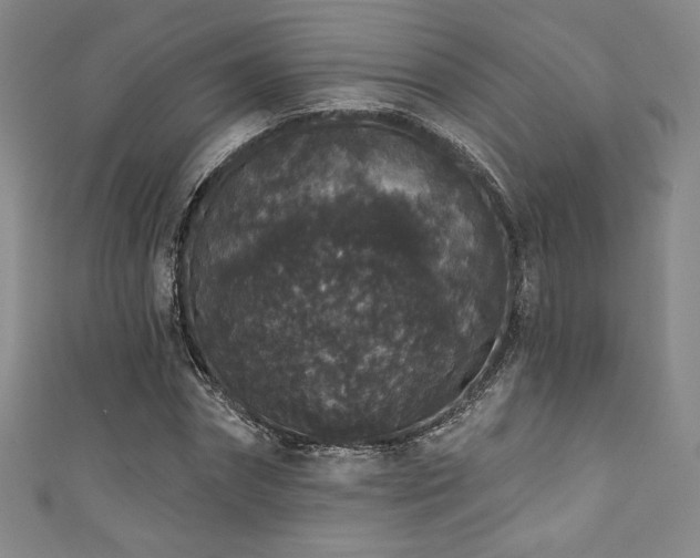 X0000111830874200907231315