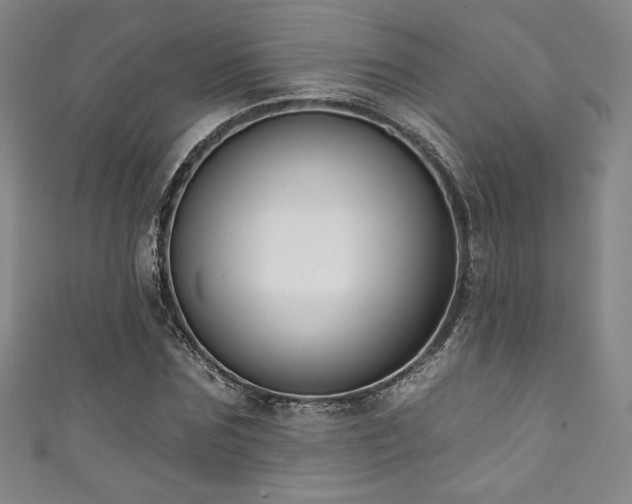 X0000111830875200907231315
