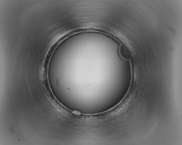 X0000111830876200907231315