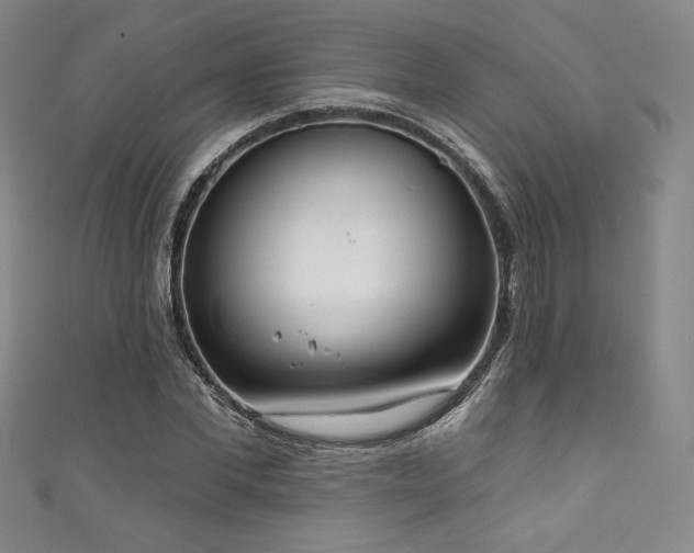 X0000111830877200907231315