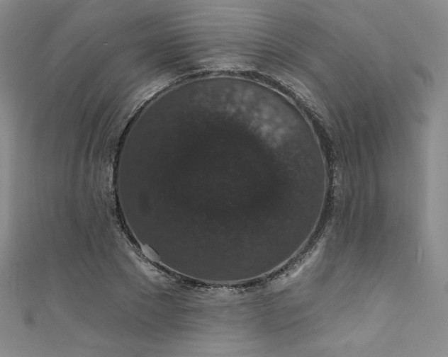 X0000111830881200907231315