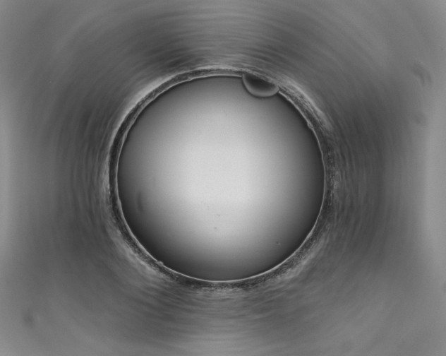 X0000111830884200907231315