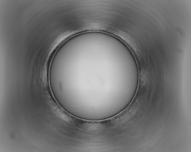 X0000111830886200907231314
