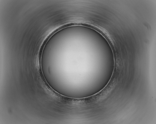 X0000111830887200907231314