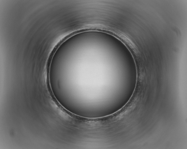 X0000111830888200907231314