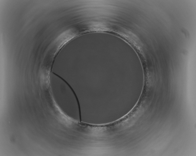 X0000111830889200907231314
