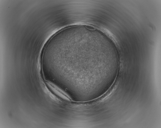 X0000111830892200907231314