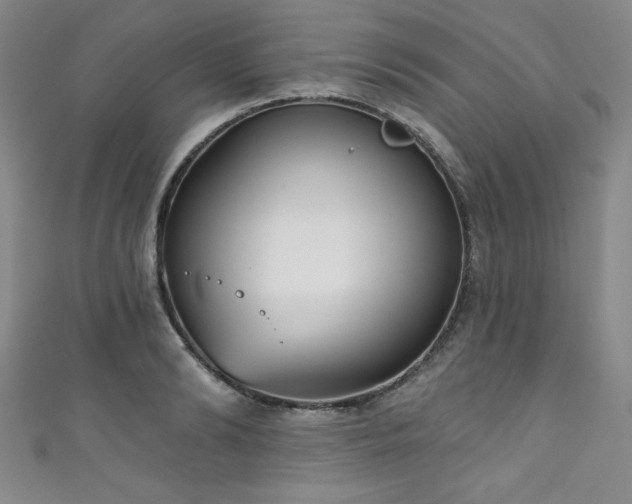 X0000111830894200907231314