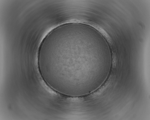 X0000111830896200907231314