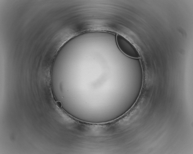 X0000111830897200907231314