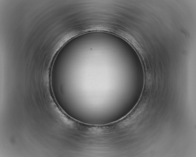 X0000111830898200907231314