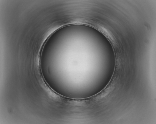X0000111830900200907231314