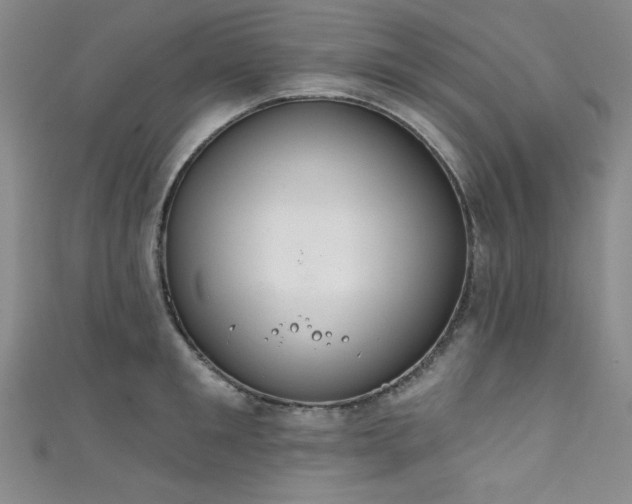 X0000111830901200907231314