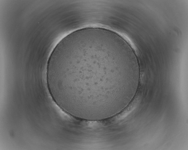 X0000111830903200907231314