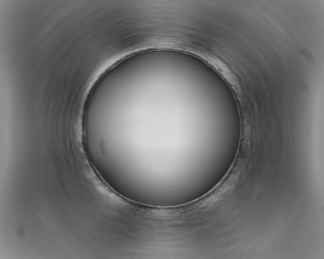 X0000111830904200907231314