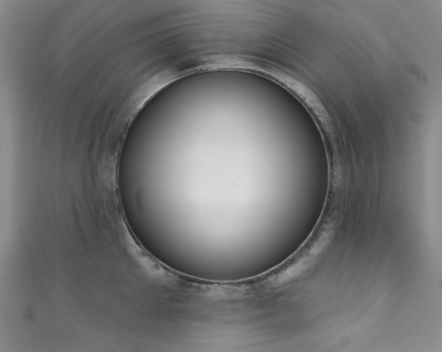 X0000111830905200907231314