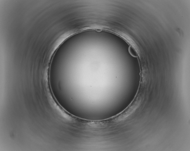 X0000111830906200907231314
