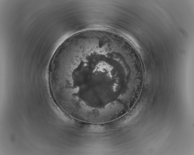 X0000111830907200907231314