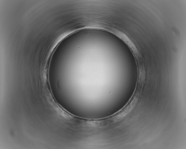 X0000111830908200907231314