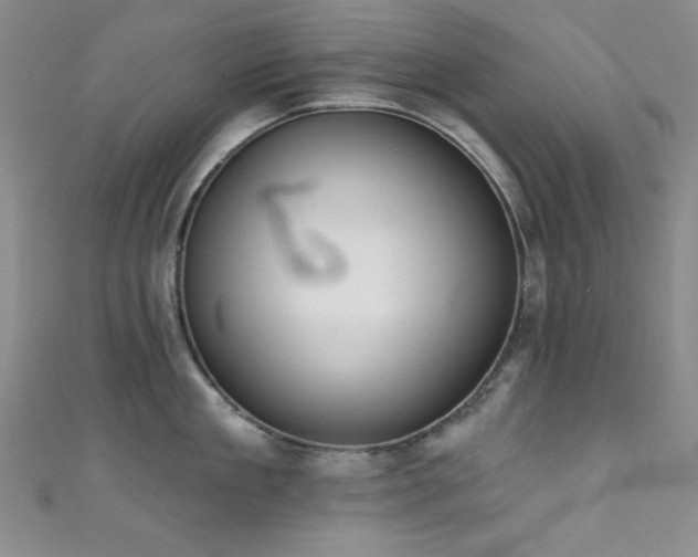 X0000111830909200907231314