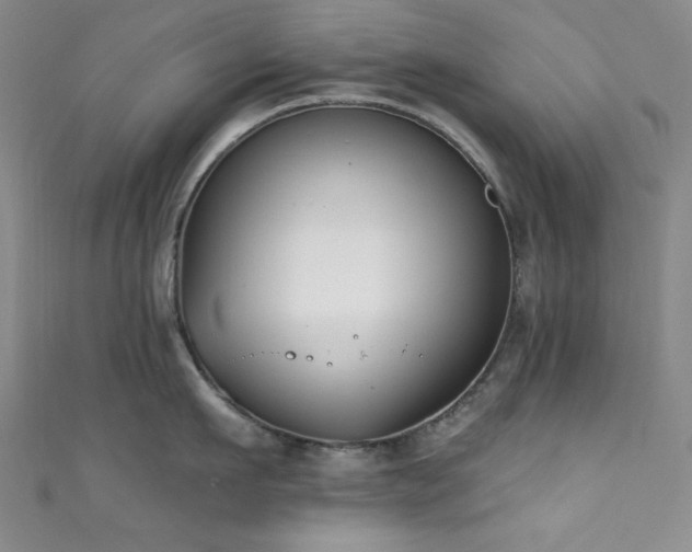 X0000111830911200907231314