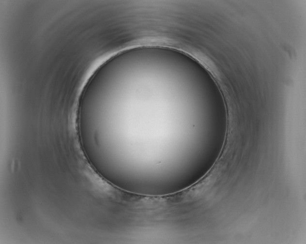 X0000111830912200907231314